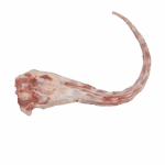 Rabo Vacuno