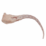 Rabo Vacuno - Imagen 2